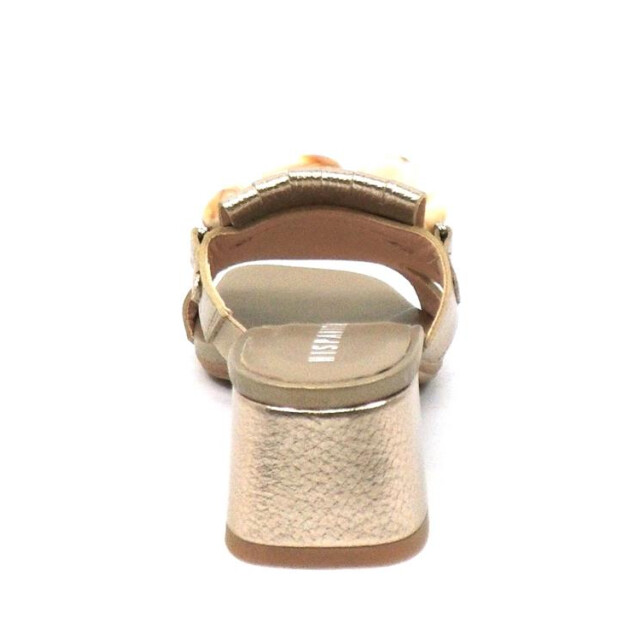 Hispanitas Hv254077 HV254077 large