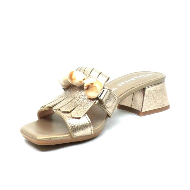 Hispanitas Hv254077 HV254077 large
