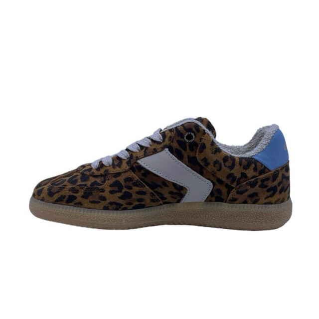 Verbenas Sora leo summer bronzo cielo Sora Leo Summer Bronzo Cielo large