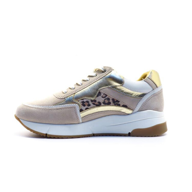 Helioform 284.002 284.002 large