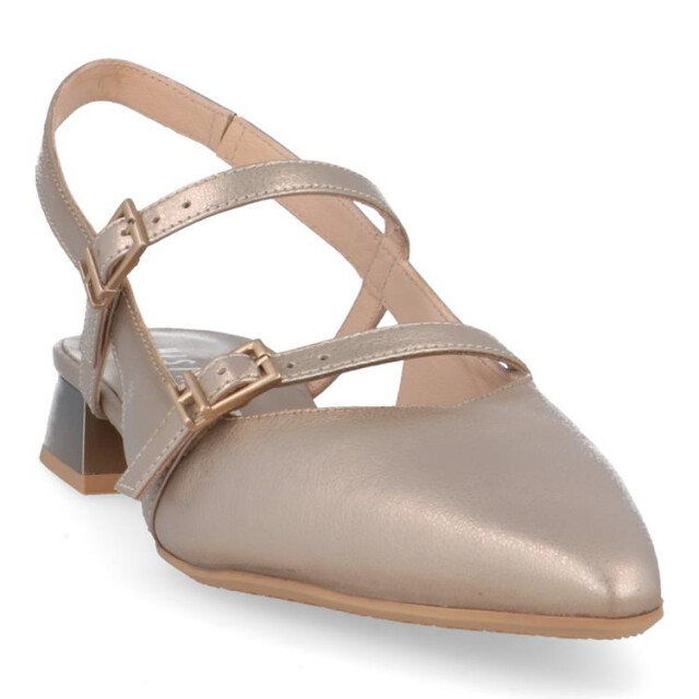 Hispanitas Hv253922 dali-v25 HV253922 Dali-V25 large
