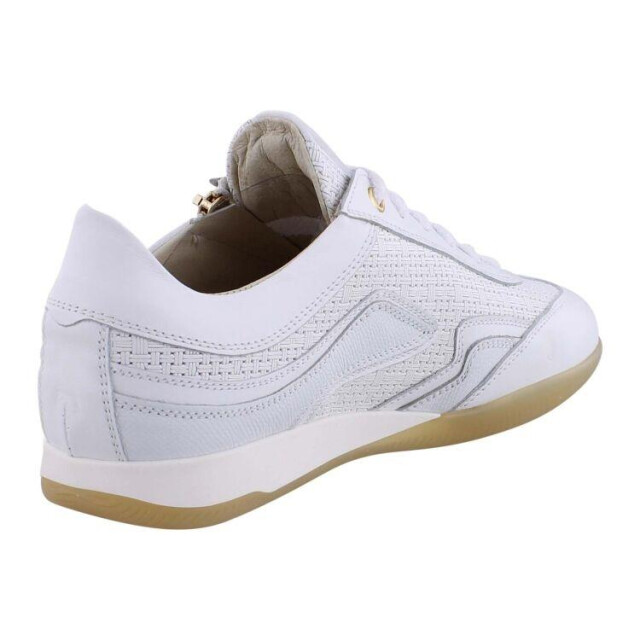 DL Sport 6571 6571 large