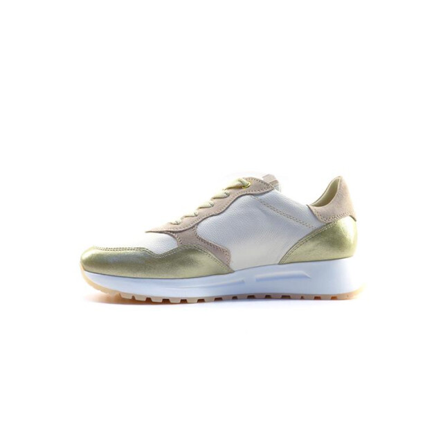 DL Sport 6527 6527 large