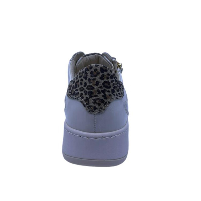 DL Sport 6504 6504 large
