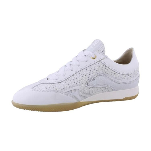 DL Sport 6571 6571 large