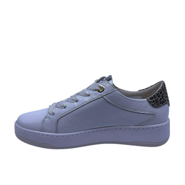 DL Sport 6504 6504 large