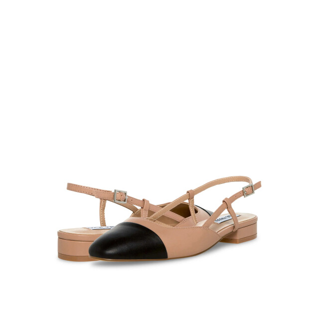 Steve Madden Belinda ballerina 62089 large