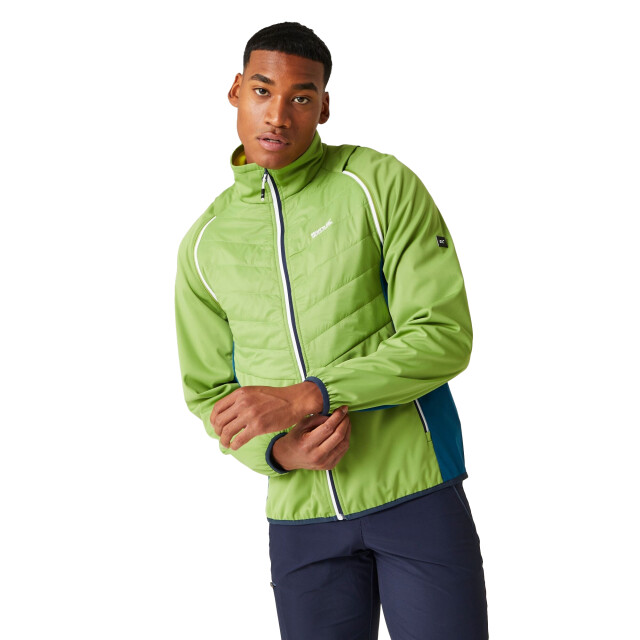 Regatta Heren steren ii softshell hybride jas UTRG10503_piquantgreenmoroccanbluecitronlime large