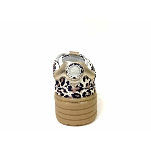 PS Poelman Lpanemone-49poe lpanemone-49poe large