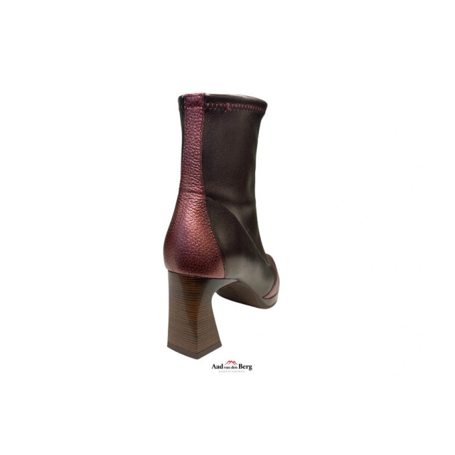 Hispanitas Damesschoenen enkellaarsjes CHI254186 Atlanta large