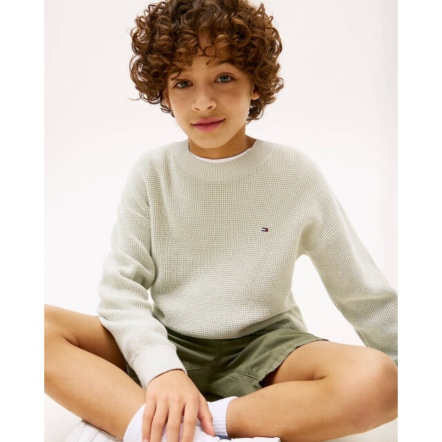 Tommy Hilfiger Sweat kb0kb09756 Tommy Hilfiger Sweat KB0KB09756 large