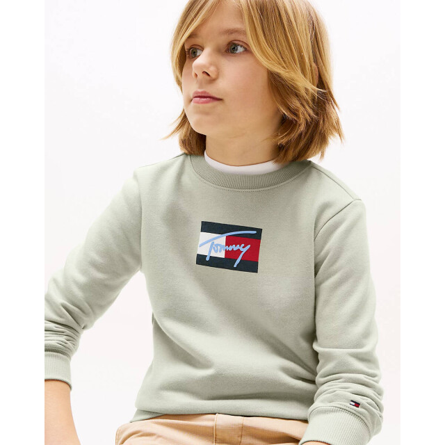 Tommy Hilfiger Sweat kb0kb09741 Tommy Hilfiger Sweat KB0KB09741 large
