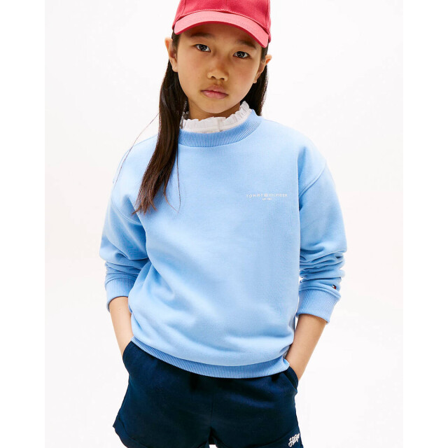 Tommy Hilfiger Sweat ks0ks00640 Tommy Hilfiger Sweat KS0KS00640 large