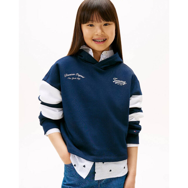 Tommy Hilfiger Hoodie kg0kg08687 Tommy Hilfiger Hoodie KG0KG08687 large