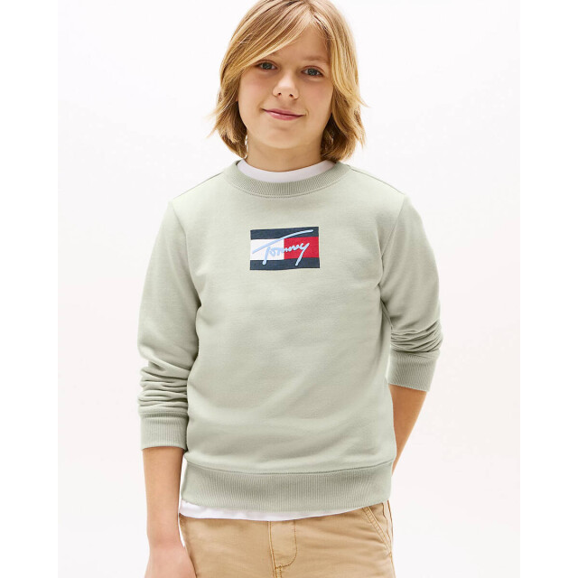 Tommy Hilfiger Sweat kb0kb09741 Tommy Hilfiger Sweat KB0KB09741 large