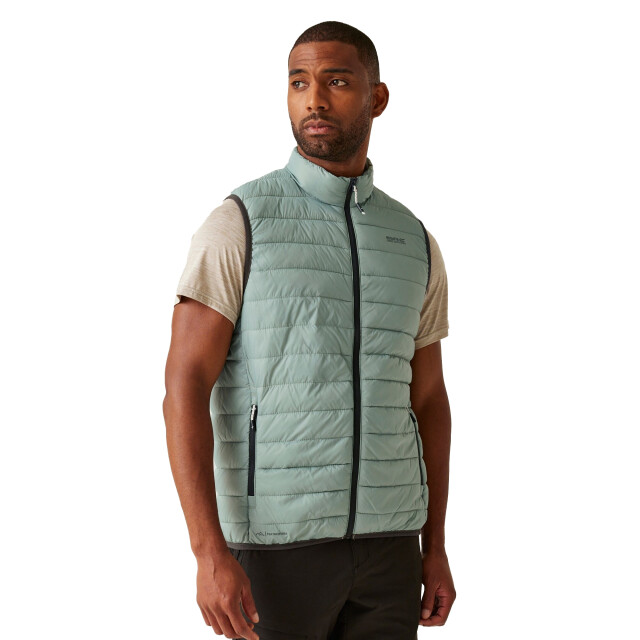 Regatta Heren hillpack ii gilet UTRG10763_glacier large