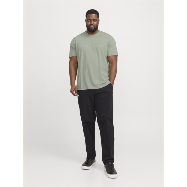Jack & Jones Plus size heren t-shirt jjestar iceberg 12243625-Iceberg Green large