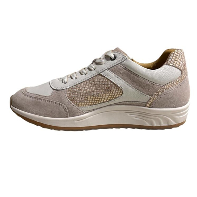 Helioform 295.002 295.002 large