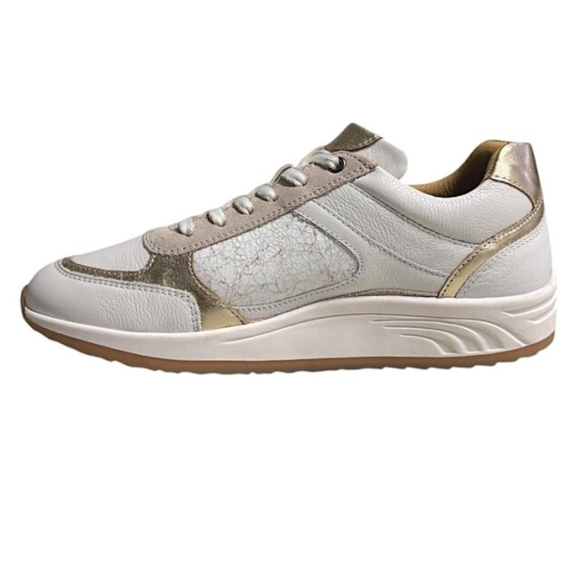 Helioform 295.002 295.002 large