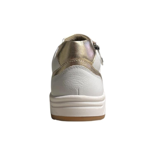 Helioform 295.002 295.002 large