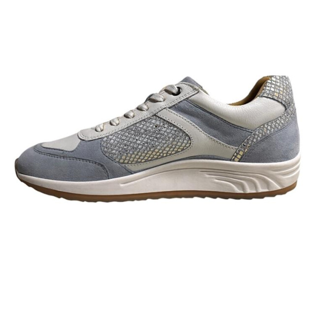 Helioform 295.002 295.002 large
