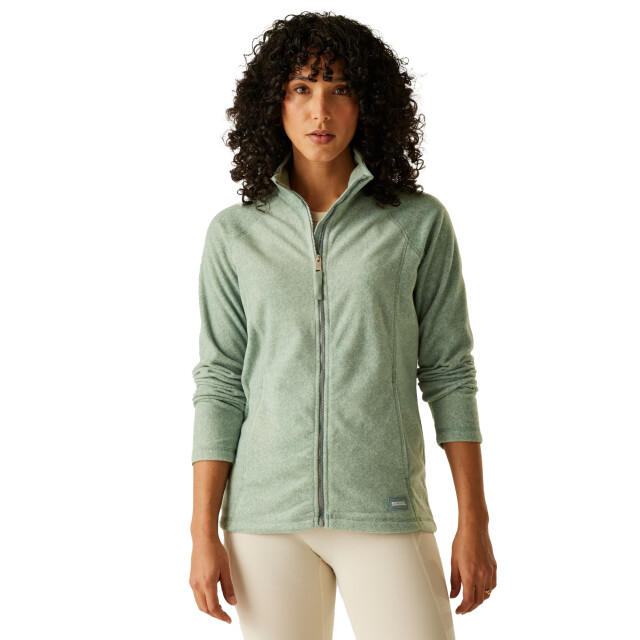 Dare2b Dames mayse full zip fleecejack UTRG11073_glaciermarl large