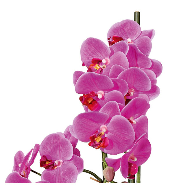 Kopu ® kunstbloem orchidee 50 cm met cement sierpot phalenopsis 3059496 large