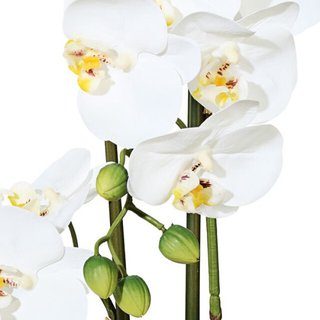 Kopu ® kunstbloem orchidee 50 cm met cement sierpot phalenopsis 3059495 large