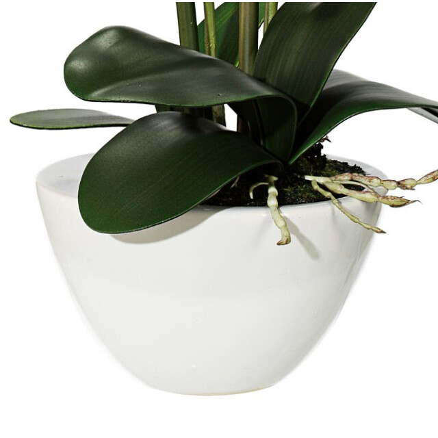 Kopu ® kunstbloem orchidee 50 cm met cement sierpot phalenopsis 3059496 large