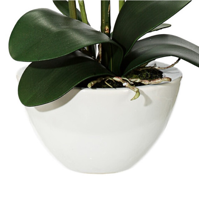 Kopu ® kunstbloem orchidee 50 cm met cement sierpot phalenopsis 3059495 large