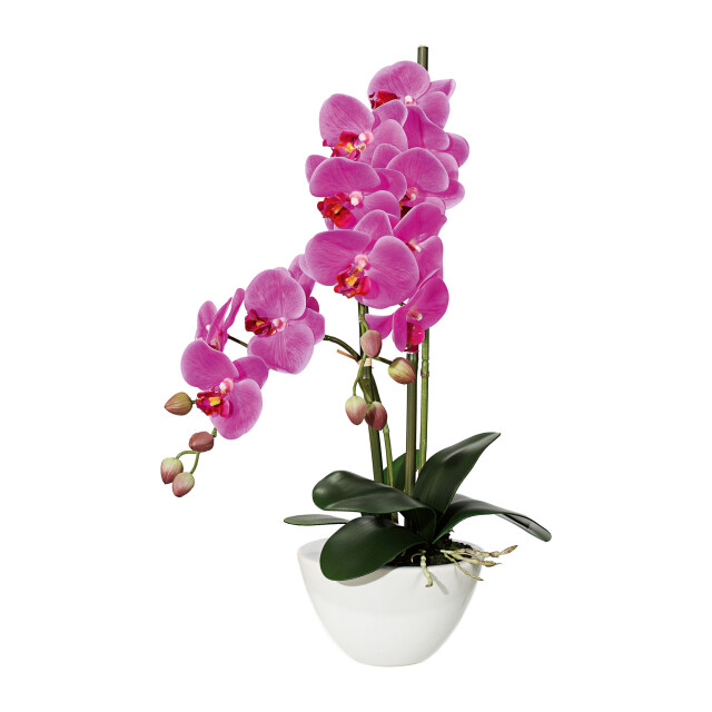 Kopu ® kunstbloem orchidee 50 cm met cement sierpot phalenopsis 3059496 large