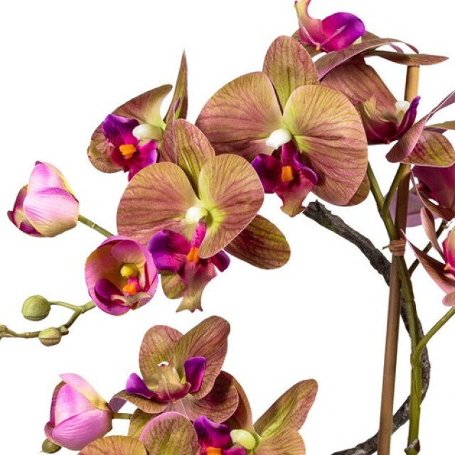 Kopu ® kunstbloem orchidee 70 cm in bruine vaas phalenopsis 3060701 large