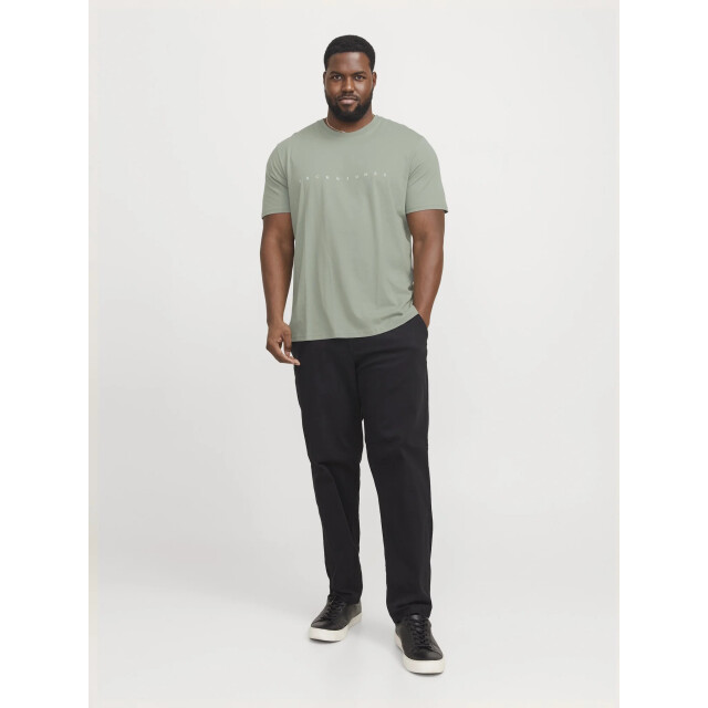Jack & Jones Plus size heren t-shirt jjestar iceberg 12243625-Iceberg Green large