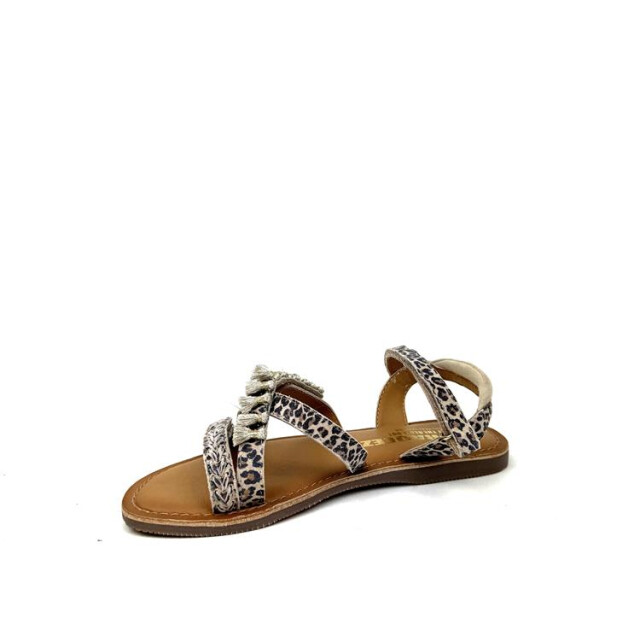 Braqeez 425018 425018 large
