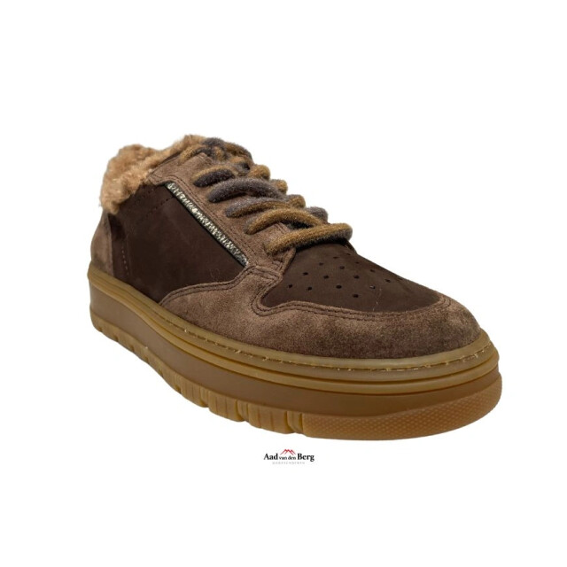 Paul Green 5369 Sneakers Bruin 5369 large