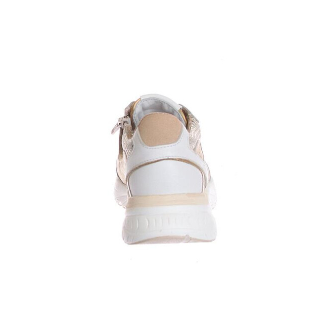 HIP H1255 H1255 large