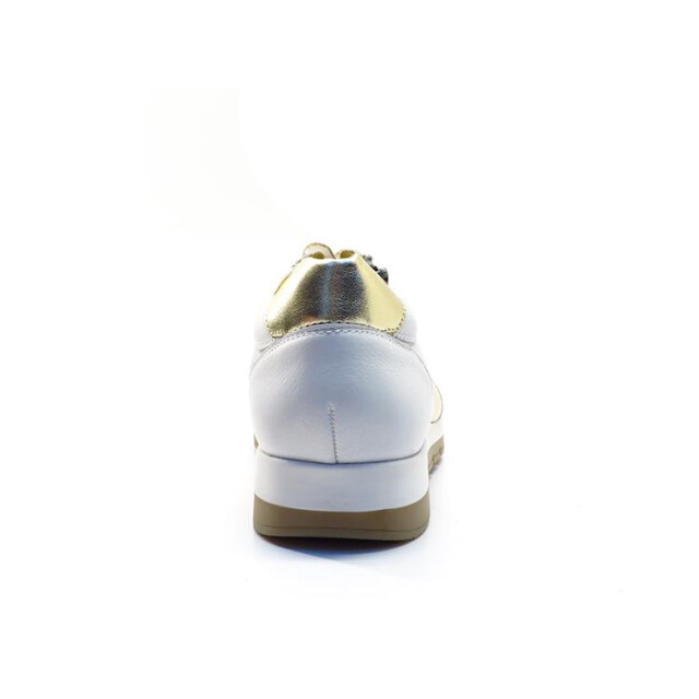 Helioform 249.005 249.005 large