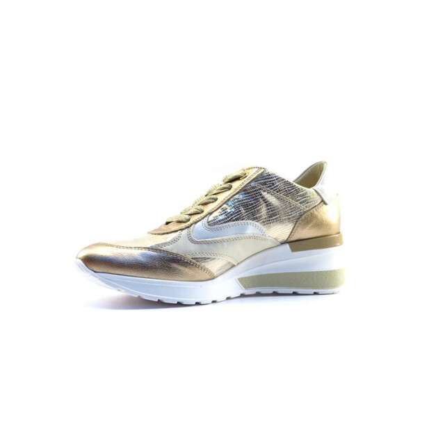 DL Sport 6576 6576 large