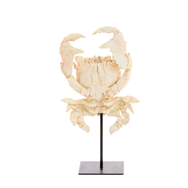 Light & Living ornament crab 23x12.5x42.5cm - 3184861 large