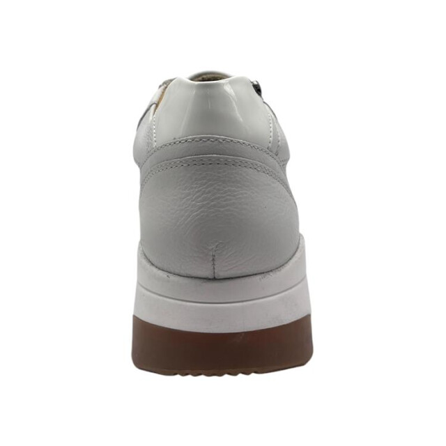 Helioform 284.002 284.002 large