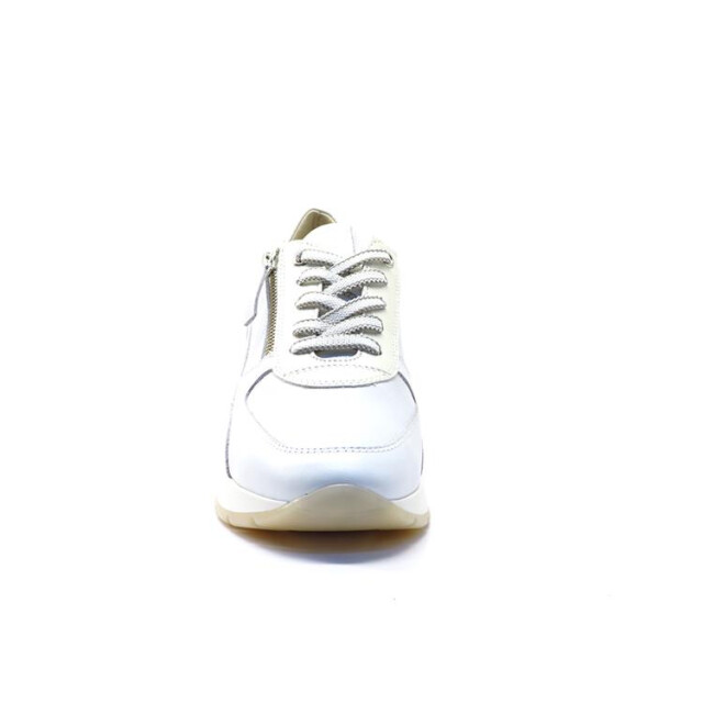DL Sport 6547 6547 large