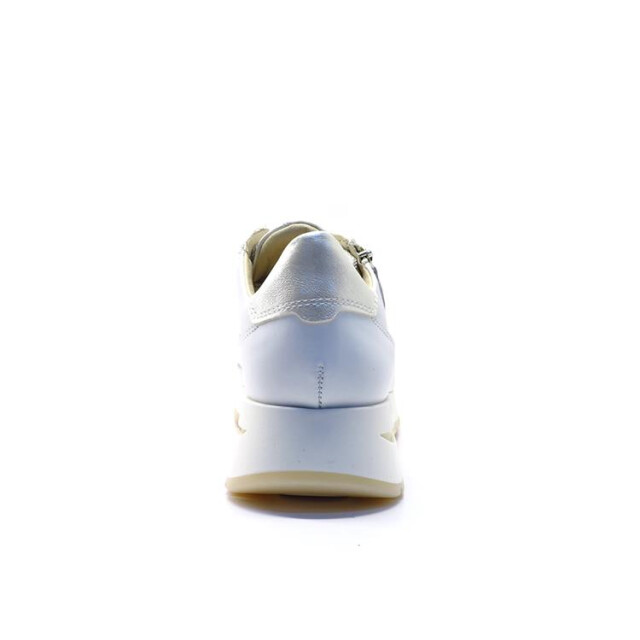 DL Sport 6547 6547 large