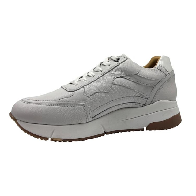 Helioform 284.002 284.002 large