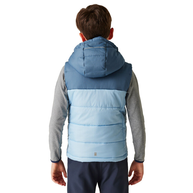 Regatta Kinder/kinder lofthouse ii gilet UTRG11261_coronetblueclearsky large