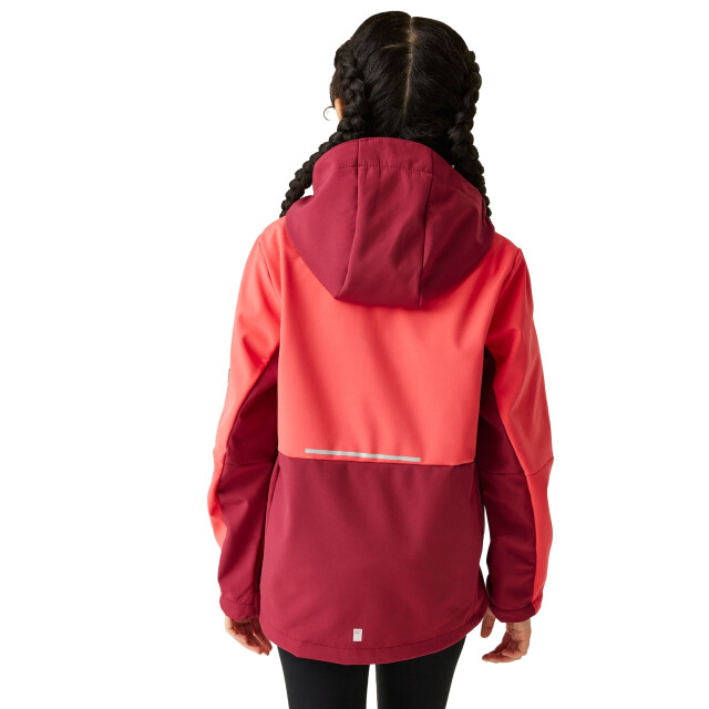 Regatta Kinder/kids haydenbury ii soft shell jas UTRG11213_redskyrumbared large
