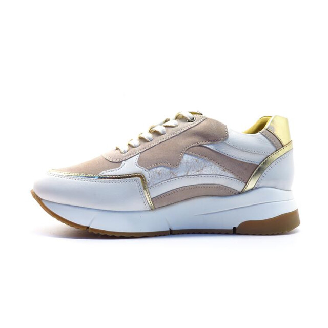 Helioform 284.002 284.002 large