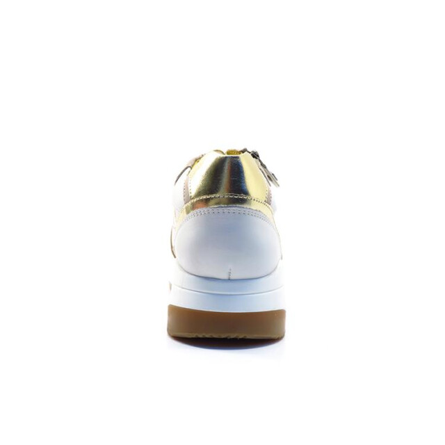 Helioform 284.002 284.002 large