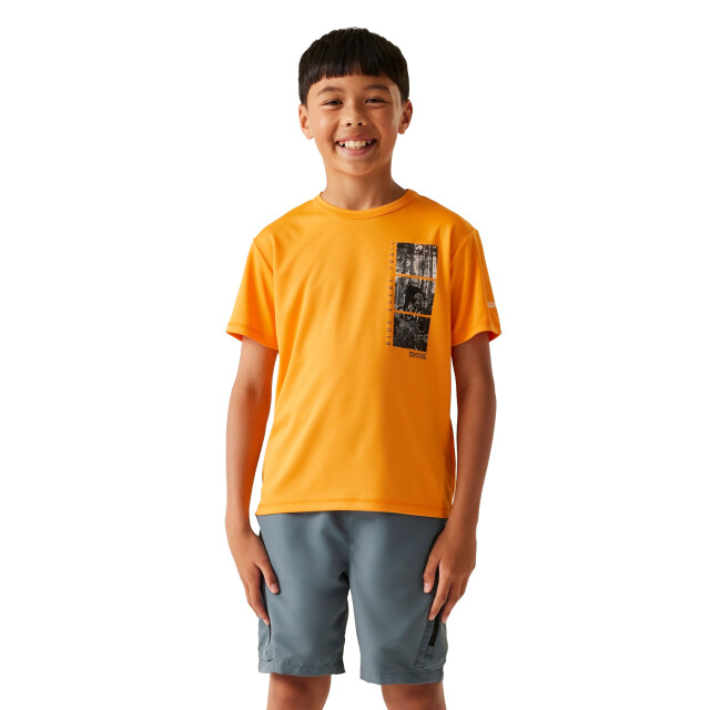 Regatta Kinderen/kinderen alvarado ix fietst-shirt UTRG11327_brightmarigold large