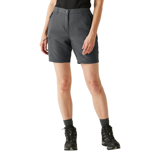 Regatta Dames chaska iii wandelbroek UTRG11343_sealgrey large
