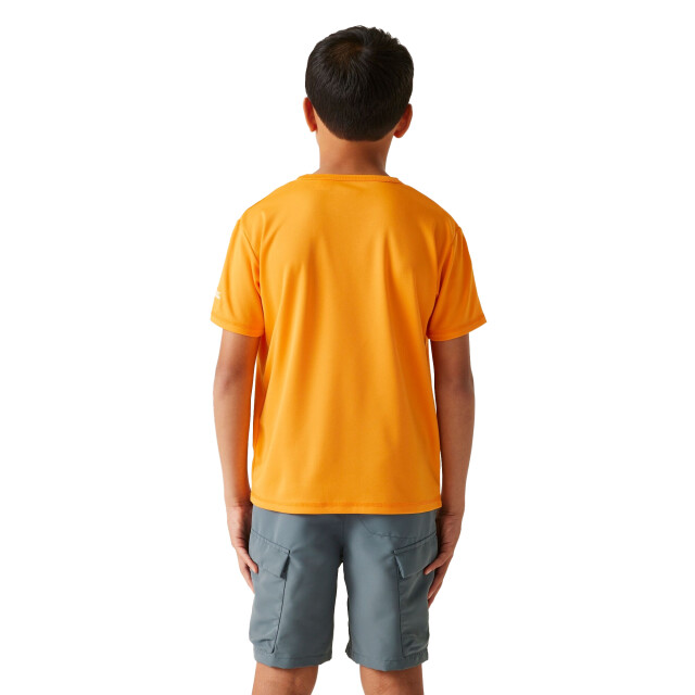 Regatta Kinderen/kinderen alvarado ix fietst-shirt UTRG11327_brightmarigold large